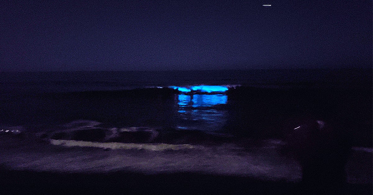 Bioluminescence during May at San Clemente Beach CA